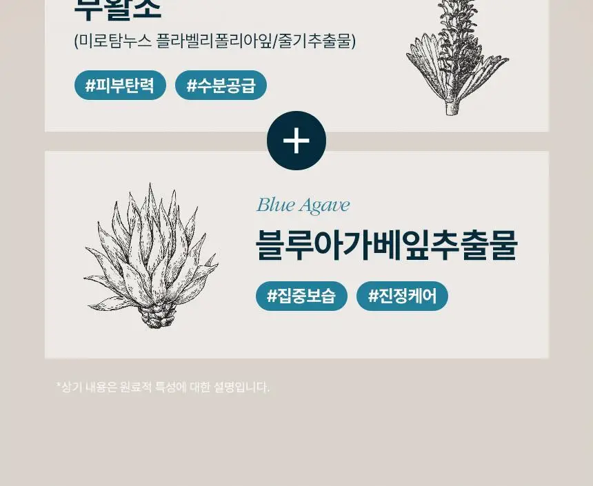 [단독2입기획]솔랩 전문가 처방급 탈모/두피 영양 앰플 40ml+40ml 상세페이지 31